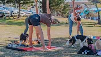 Paws and Poses Paradise Point