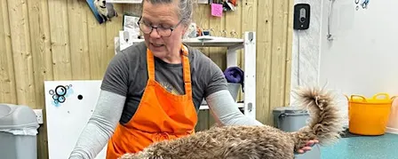Happy Handling - Holistic Grooming Workshop
