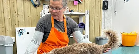 Happy Handling - Holistic Grooming Workshop