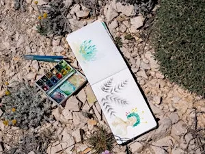 Atelier dessin sur l'astragale, plante emblématique des Calanques