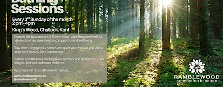 Forest Bathing+ Session - King's Wood, Challock