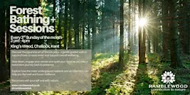 Forest Bathing+ Session - King's Wood, Challock