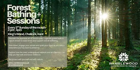 Forest Bathing+ Session - King's Wood, Challock