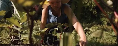 Volunteer at D-Town Farm