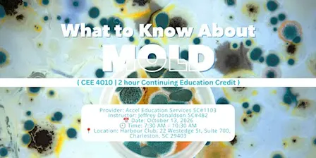 What to Know About Mold