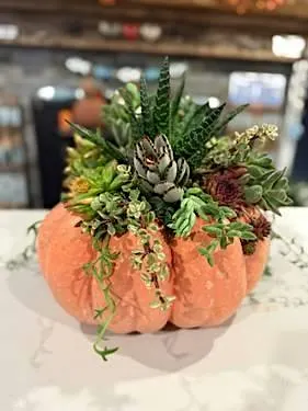 Plant Nite • Momo's Sport Bar and Grill Too (Bayport) • Bayport