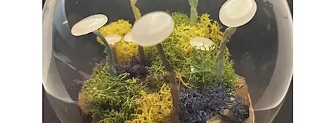 Mushroom Lamp Making Craft Workshop (Beginner friendly)