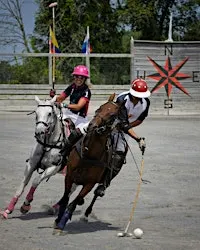 Polo Under the Lights