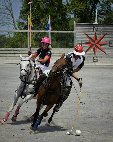 Polo Under the Lights
