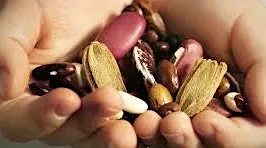Seed Saving