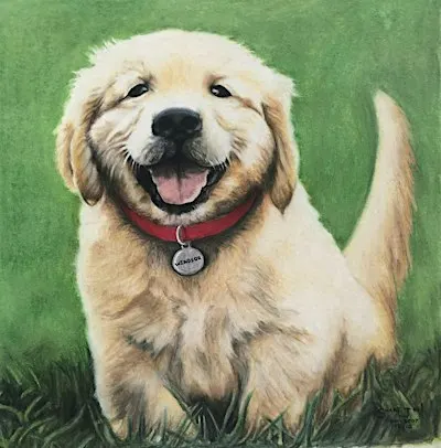Pet Portrait Workshop - Acrylic Painting