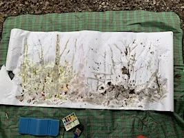 Winter Forest Therapy and Creative Art Workshop: Journals and Drawing