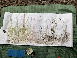 Winter Forest Therapy and Creative Art Workshop: Journals and Drawing