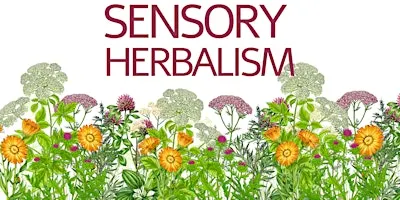 Sensory Plant Medicine Morning