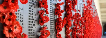 RSVP Remembrance Day 2026 Performance Opportunity