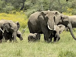 Through the Lens of Tanzania