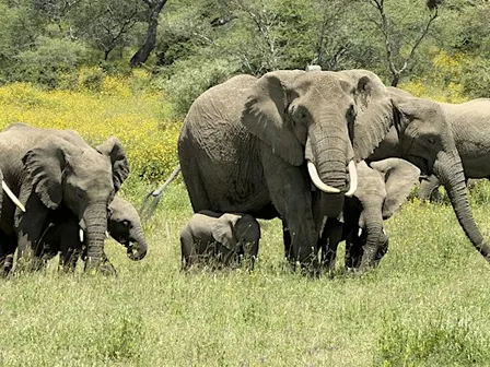 Through the Lens of Tanzania
