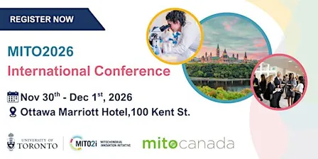MITO2026 International Conference