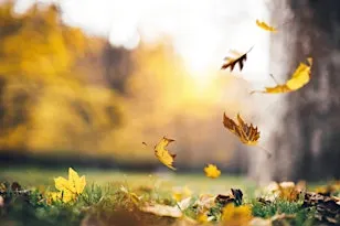 Dealing with Loss and Change