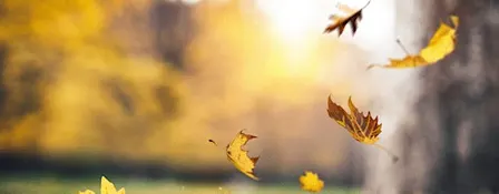 Dealing with Loss and Change