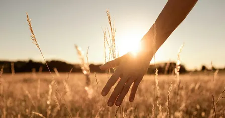 The Power of Now
