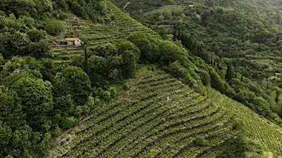 A Grape Odyssey: Greece's Lesser Known Wines