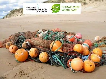 Balmedie Beachwatch - beach clean and litter survey