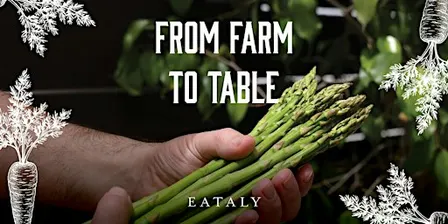 Chef Dinner: From Farm to Table