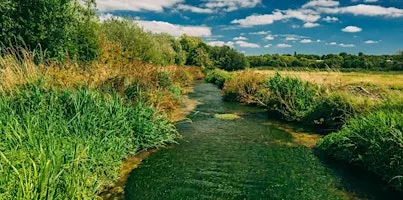 Guided walk at Winnall Moors Nature Reserve