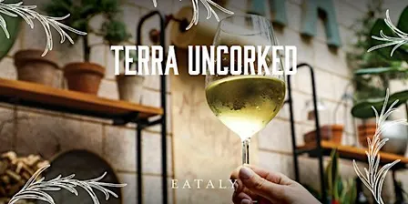 Terra Uncorked: Tour of Tuscany