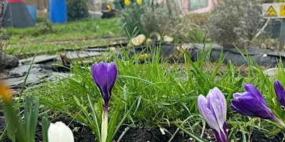 Community Gardening & Creative Sessions