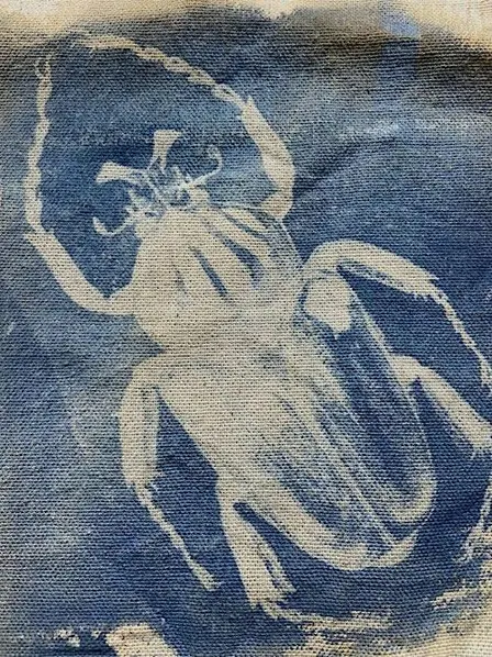 Cyanotype bugs & beetles