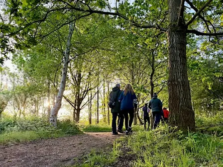 Lincoln Hike Club - Saturday Social 9 - Swan Holme / Hartsholme Circular