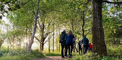 Lincoln Hike Club - Saturday Social 11 - Swan Holme / Hartsholme Circular