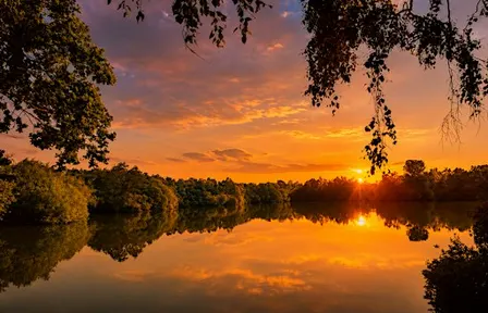 Lincoln Hike Club - Sunset Walk 8 - The Swanholme set!
