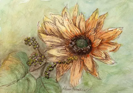 Watercolor Wednesday Day/Evening