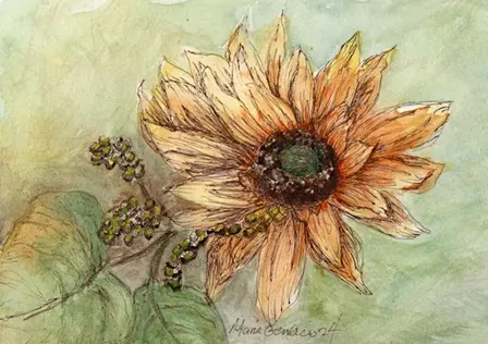 Watercolor Wednesday Day/Evening
