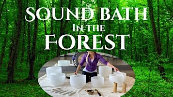SOUND BATH IN THE FOREST
