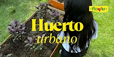 Taller Huerto Urbano | Flower Jardineria