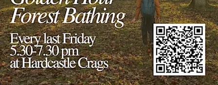 Golden Hour Forest Bathing & Herbal Tea