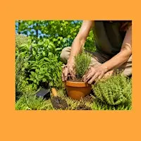 Reducí tu estrés. Conectá con las plantas.