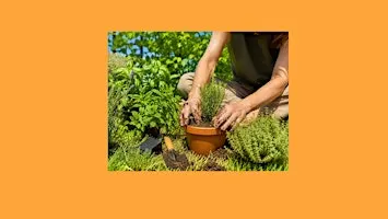 Reducí tu estrés. Conectá con las plantas.