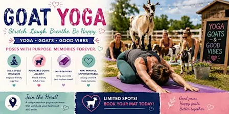 Goat Yoga in Toronto