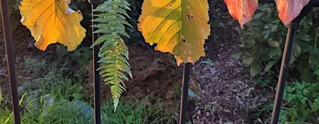 Forest School Skills Day - Autumn & Winter
