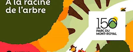 À la racine de l’arbre, promenade sonore animée par Sophie Mankowski