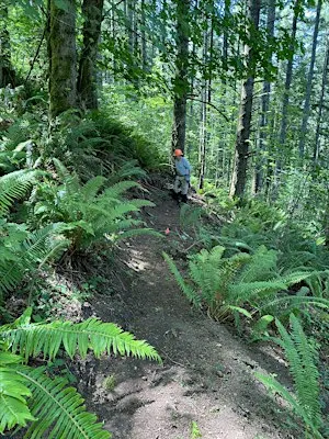 Metzler Park--PDX