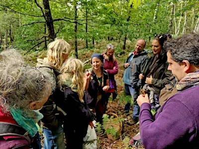 Fungi ID Walks - Sundays Yarner Wood