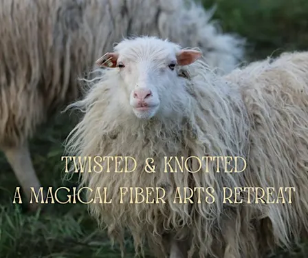 Twisted & Knotted- a Magical Fiber Arts Retreat