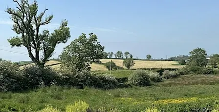 Sunday Sessions at Laurelbank Farm
