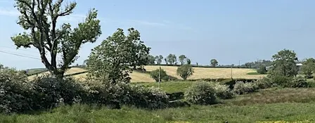 Sunday Sessions at Laurelbank Farm